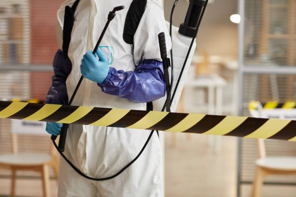 Professional Sewage Cleanup technician working in Belmont, VA